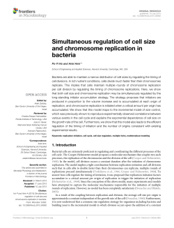 Simultaneous regulation of cell size and chromosome replication in