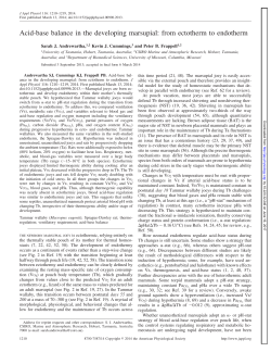 Acid-base balance in the developing marsupial: from ectotherm to