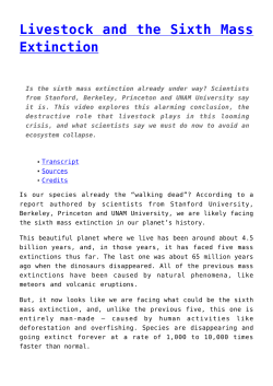 Livestock and the Sixth Mass Extinction