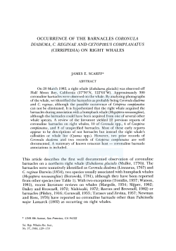 Scarff, J. E. Occurrence of the barnacles Coronula diadema, C