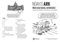 Move your bones, vertebrates