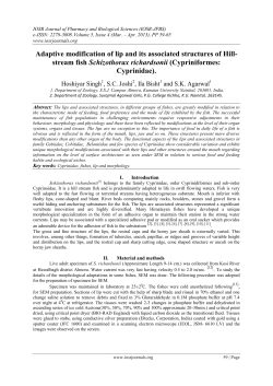 Adaptive modification of lip and its associated structures of Hill