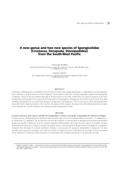 A new genus and two new species of