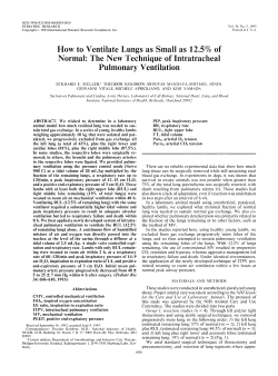 How to Ventilate Lungs as Small as 12.5% of Normal: The