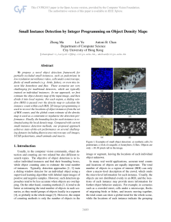 Small Instance Detection by Integer Programming on Object Density