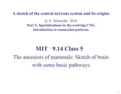 Lecture 5 Notes - MIT OpenCourseWare