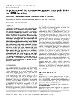 Importance of the reverse Hoogsteen base pair 54