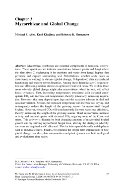 Mycorrhizae and Global Change