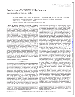 Production of MDC/CCL22 by human intestinal epithelial cells