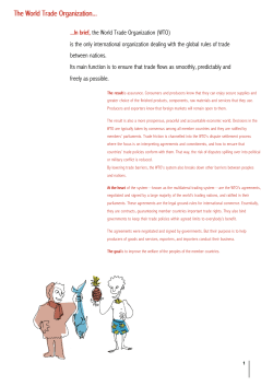 The World Trade Organization