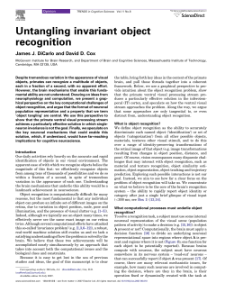 Untangling invariant object recognition - DiCarlo Lab