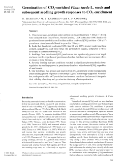 as a PDF