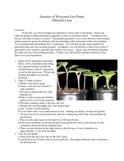 Genetics of Wisconsin Fast Plants Dihybrid Cross