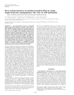 RecA polymerization on double-stranded DNA by using single