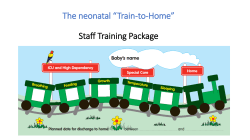 The neonatal &ldquo;Train-to-Home&rdquo; Staff Training Package