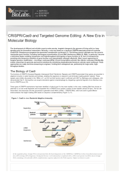 CRISPR/Cas9 and Targeted Genome Editing: A New Era