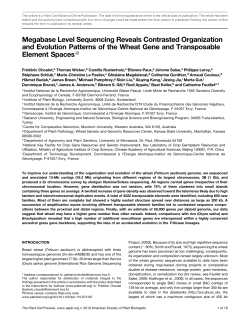 Megabase Level Sequencing Reveals Contrasted