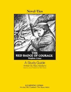 Novel&bull;Ties A Study Guide