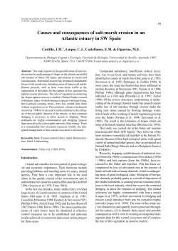 Causes and consequences of salt-marsh erosion in an Atlantic