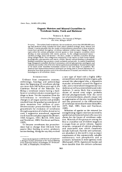 Organic Matrices and Mineral Crystallites in