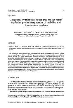 Geographic variability in the grey mullet Mugil cephalus: preliminary