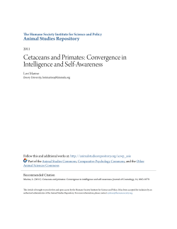 Cetaceans and Primates: Convergence in Intelligence and Self