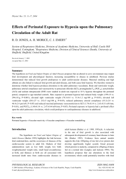 Effects of Perinatal Exposure to Hypoxia upon the Pulmonary