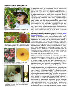 Breeder profile: Ksenija Gasic