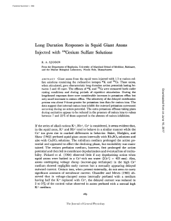 Long Duration Responses in Squid Giant Axons Injected with