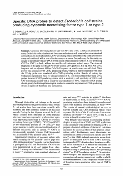 Specific DNA probes to detect Escherichia coh" strains producing