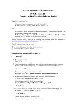 Structure and conformation of oligosaccharides