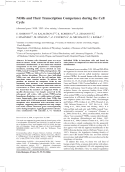 NORs and Their Transcription Competence during the Cell Cycle