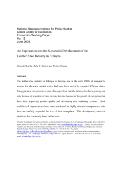 An Exploration into the Successful Development of the Leather