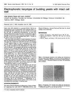 Electrophoretic karyotype of budding yeasts with intact cell wall