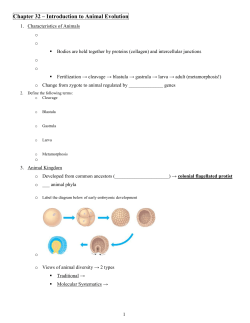 Chapter 32 &ndash; Introduction to Animal Evolution