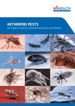 arthropod pests - Environmental Health Australia