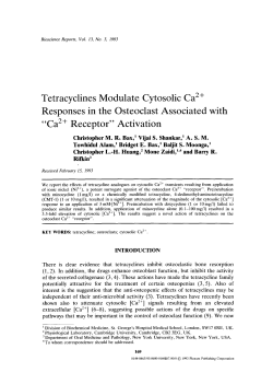 Tetracyclines modulate cytosolic Ca 2+