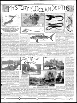 Five-Sevenths of the Earth`s Surface An Al