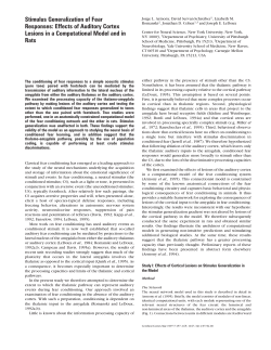 Stimulus Generalization of Fear Responses