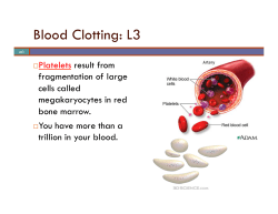 L3 Blood Clotting