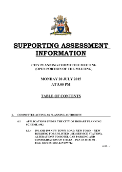 Supporting Information