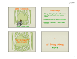 All living things move