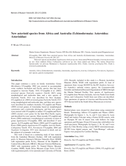 New asterinid species from Africa and Australia (Echinodermata