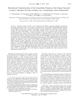 Biochemical Characterization of the Intracellular Domain of the