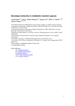 Genotype networks in metabolic reaction spaces