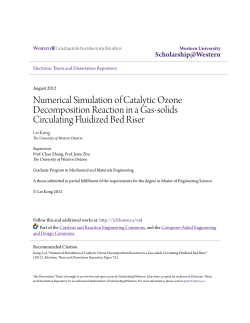 Numerical Simulation of Catalytic Ozone Decomposition Reaction in