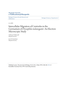 Intercellular Migration of Centrioles in the Germarium of Drosophila