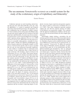 The sea anemone Nematostella vectensis as a