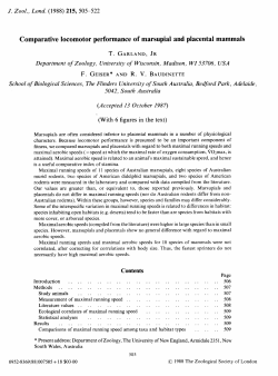 Comparative locomotor performance of marsupial