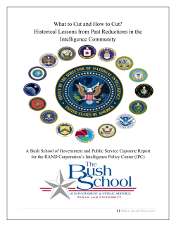 Capstone Report - The Bush School of Government and Public